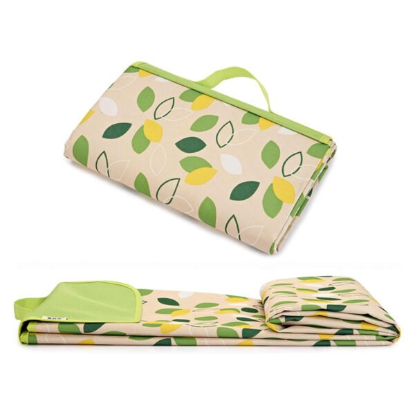 61loScbFryL._AC_SL1500_ Small Flyleaf Picnic Blanket for Beach