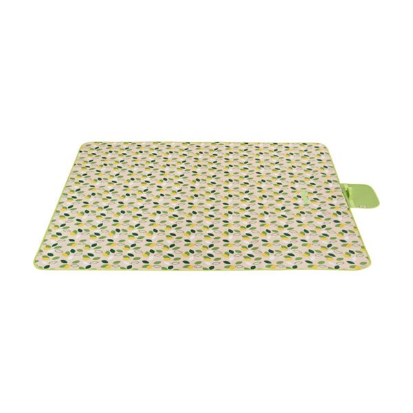 719wMa8qpWL._AC_SL1500_ Small Flyleaf Picnic Blanket for Beach