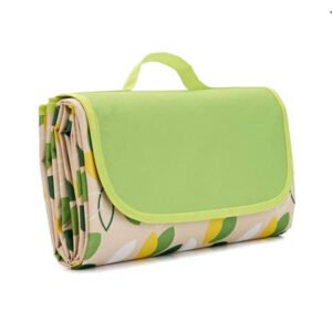 Small Flyleaf Picnic Blanket for Beach