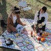 Nain-05 Outdoor Picnic Mat